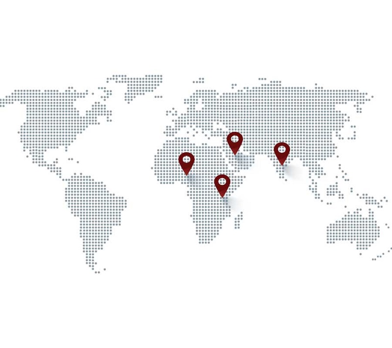 Presence in Global Market